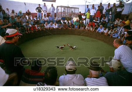 Stock Image - sport, venezuela, 5266, person, people. Fotosearch