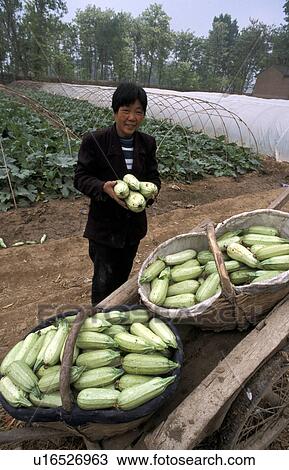 Stock Image - squash, people, china, 7181, person, woman. Fotosearch