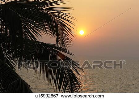 sunset, people, india, sun, person, beach View Large Photo Image Stock Photo - sunset, people, india, sun, person, beach. Fotosearch