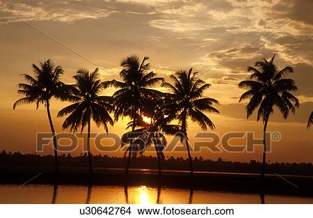 sunset, person, landscape, india, 5323, people View Large Photo Image Picture - sunset, person, landscape, india, 5323, people. Fotosearch