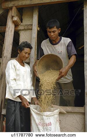 taking, food, cambodia, person, people, woman View Large Photo Image Stock Image - taking, food, cambodia, person, people, woman. Fotosearch