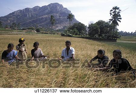 Stock Photo - tammari, people, faremr, india, person, family. Fotosearch