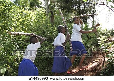 tanzania, sport, children, school, person, people View Large Photo Image Stock Image - tanzania, sport, children, school, person, people. Fotosearch
