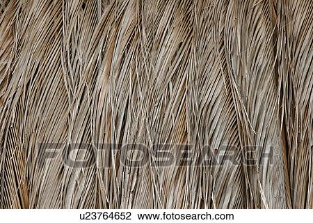 texture, people, person, nature, pattern, background View Large Photo Image Stock Image - texture, people, person, nature, pattern, background. Fotosearch