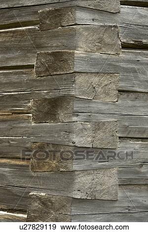 Stock Photo - texture, people, person, nature, pattern, background. Fotosearch