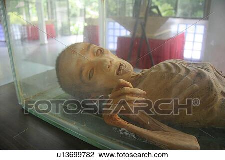 thailand, child, sleleton, kid, person, people View Large Photo Image Stock Image - thailand, child, sleleton, kid, person, people. Fotosearch