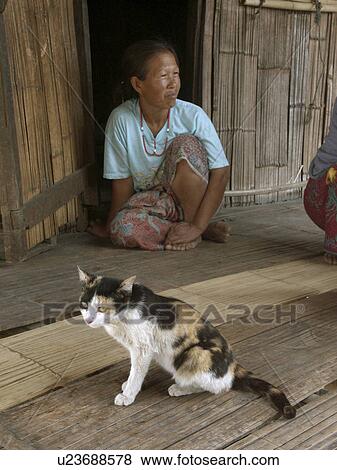 Stock Photo - thailand, people, 9593, person, cat, woman. Fotosearch