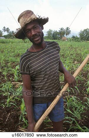 Stock Image - torbeck, person, farmer, haiti, 4281, people. Fotosearch