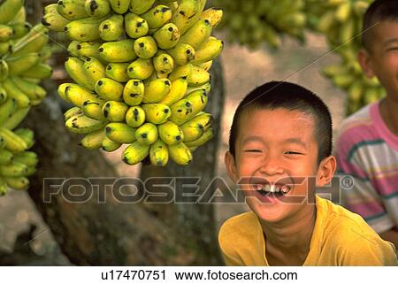 tree, asia, asian, boy, southeast, thailand View Large Photo Image Stock Image - tree, asia, asian, boy, southeast, thailand. Fotosearch