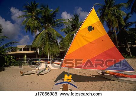trees, sail, palm, sand, boats, beach View Large Photo Image Stock Photo - trees, sail, palm, sand, boats, beach. Fotosearch