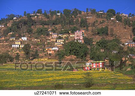 trees, valley, hill, houses, nepal, kathmandu View Large Photo Image Stock Image - trees, valley, hill, houses, nepal, kathmandu. Fotosearch