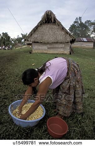 washing, people, guatemala, 5634, person, woman View Large Photo Image Stock Image - washing, people, guatemala, 5634, person, woman. Fotosearch