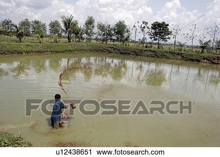 Stock Image - worker, people, bangladesh, fish, person, water. Fotosearch