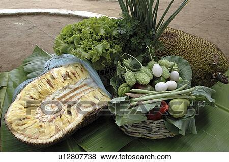 ثمار إنسان النباتات إستوائي البرازيل أسرة ألبوم الصور U12807738 Fotosearch