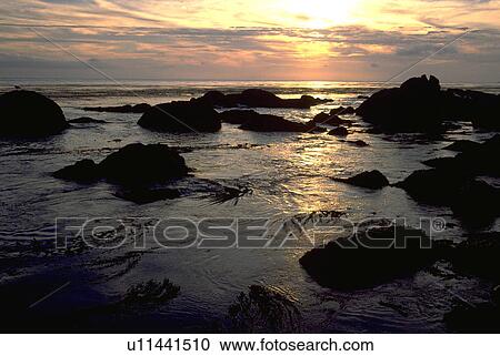 17, nature, california, carmel, beauty, water View Large Photo Image Stock Image - 17, nature, california, carmel, beauty, water. Fotosearch