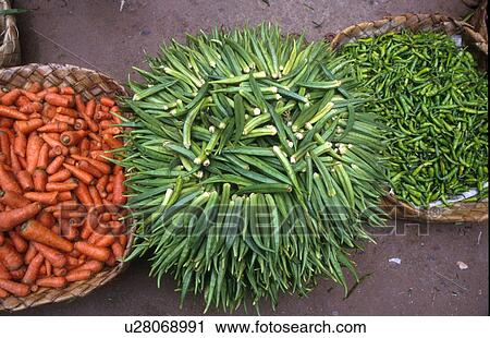5306, people, person, nature, pattern, food View Large Photo Image Stock Image - 5306, people, person, nature, pattern, food. Fotosearch