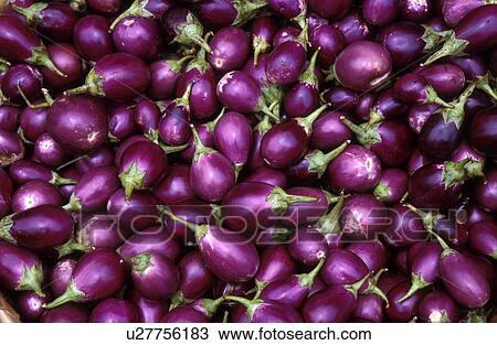 Stock Image - 5307, people, person, nature, pattern, food. Fotosearch