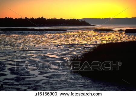 Stock Image - alameda, silhouette, sunset, shoreline, sun, water. Fotosearch