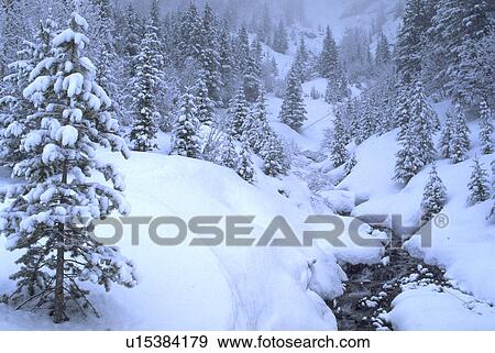 banff, winter, rockies, canadian, stream, water View Large Photo Image Stock Photo - banff, winter, rockies, canadian, stream, water. Fotosearch