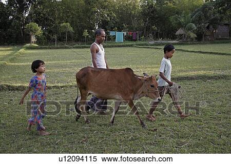 bangladesh, child, kid, children, person, people View Large Photo Image Stock Photography - bangladesh, child, kid, children, person, people. Fotosearch