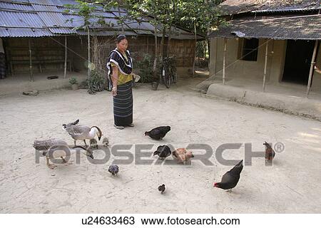 bangladesh, food, women, person, people, woman View Large Photo Image Stock Image - bangladesh, food, women, person, people, woman. Fotosearch
