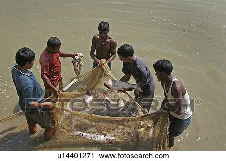 Stock Image - bangladesh, water, fish, person, people, business. Fotosearch