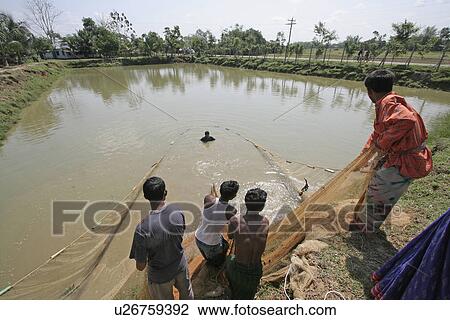 Stock Image - bangladesh, water, fish, person, people, business. Fotosearch