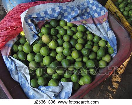 Stock Photograph - basket, pattern, salvador, person, nature, people. Fotosearch