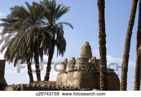 bird, house, egypt, 5712, person, people View Large Photo Image Stock Photo - bird, house, egypt, 5712, person, people. Fotosearch