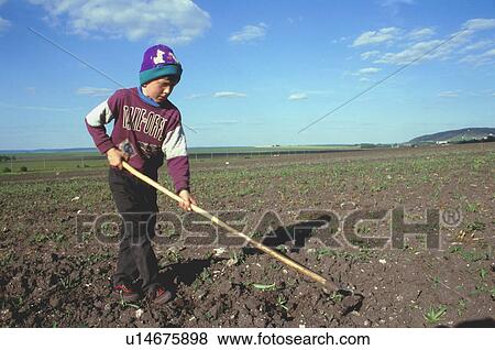 Stock Photo - boy, child, labor, 3542, person, people. Fotosearch