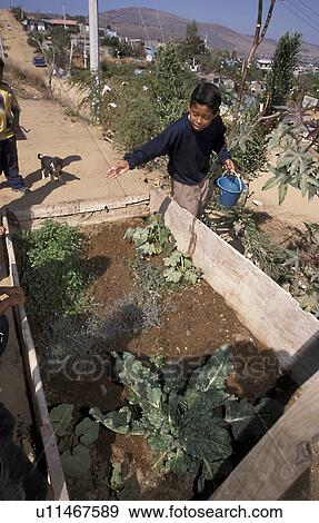Stock Photo - boy, person, hispanic, mexico, 5654, people. Fotosearch