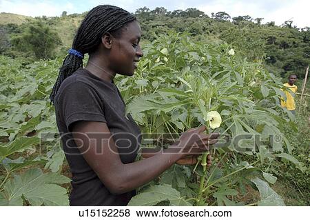 Stock Photo - brazil, girl, kid, person, child, people. Fotosearch
