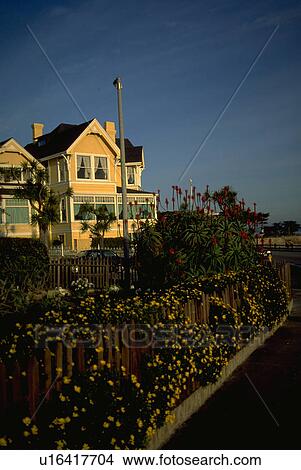 Picture - california, house, monterey, grove, pacific, flowers. Fotosearch