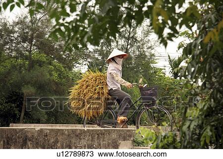 Stock Image - carrying, people, female, vietnam, person, woman. Fotosearch