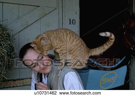 cat, woman, tabby, orange, female, young View Large Photo Image Stock Image - cat, woman, tabby, orange, female, young. Fotosearch