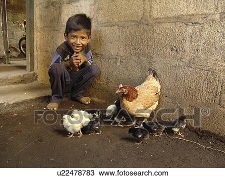 chickens, person, feeding, boy, nicaragua, people View Large Photo Image Stock Image - chickens, person, feeding, boy, nicaragua, people. Fotosearch