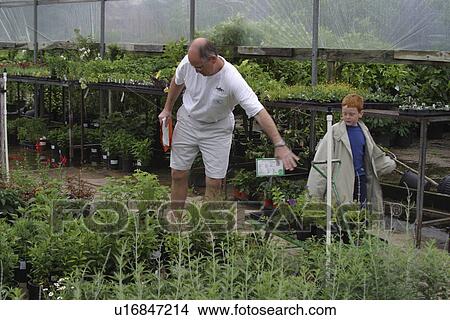 Picture - commerce, Richardson, retail, display, nursery, Texas. Fotosearch