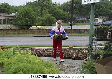 Stock Photograph - commerce, Richardson, retail, display, nursery, Texas. Fotosearch