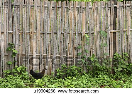 Stock Photo - country, pattern, thailand, person, nature, people. Fotosearch