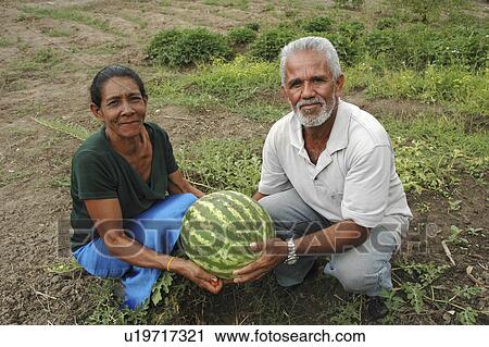 Stock Image - cultivating, couple, farmer, brazil, person, people. Fotosearch