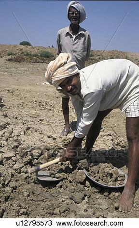 dirt, person, digging, ramaiah, india, people View Large Photo Image Stock Image - dirt, person, digging, ramaiah, india, people. Fotosearch