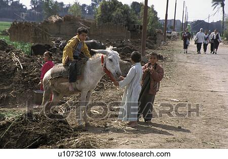 egypt, fitness, 5724, children, person, people View Large Photo Image Stock Image - egypt, fitness, 5724, children, person, people. Fotosearch
