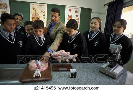 egypt, people, 5711, book, person, background View Large Photo Image Stock Photography - egypt, people, 5711, book, person, background. Fotosearch