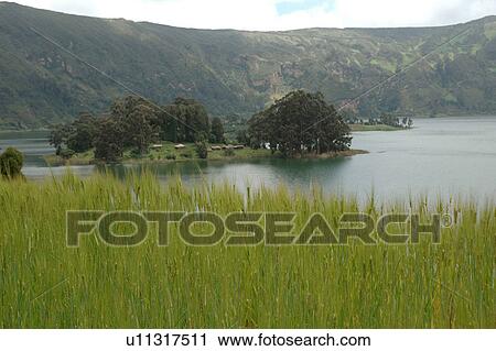 Stock Image - extinct, person, lake, wenchi, ethiopia, people. Fotosearch