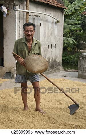 farmer, house, vietnam, sun, person, people View Large Photo Image Stock Photography - farmer, house, vietnam, sun, person, people. Fotosearch