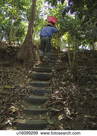 farmer, people, guatemala, person, fitness, car View Large Photo Image Stock Photo - farmer, people, guatemala, person, fitness, car. Fotosearch