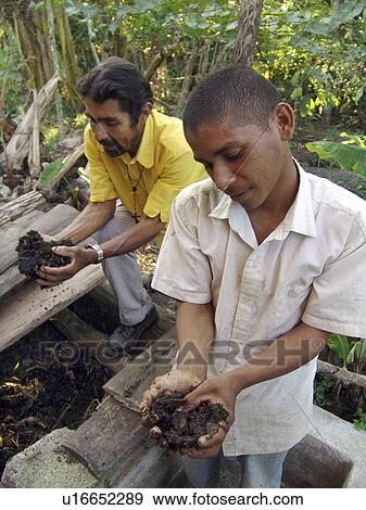 father, person, farmers, two, nicaragua, people View Large Photo Image Stock Photo - father, person, farmers, two, nicaragua, people. Fotosearch