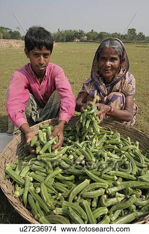 Picture - female, food, elderly, person, people, woman. Fotosearch