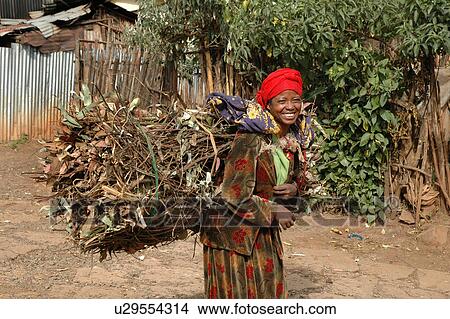 Picture - firewood, people, carrying, ethiopia, person, woman. Fotosearch