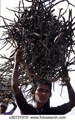 firewood, person, carrying, india, women, people View Large Photo Image Stock Image - firewood, person, carrying, india, women, people. Fotosearch